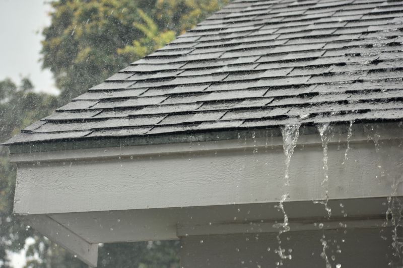 Gutter and Roof Edge Repair